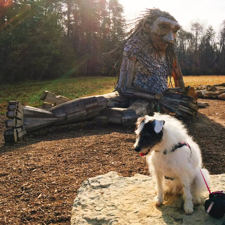 0a9639ec 1e73 4649 81f3 d59953c311d2 1575203896171