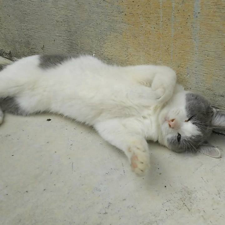 0a9669ee b92a 44c7 b69b 950beb8ccaa3 1513726506868