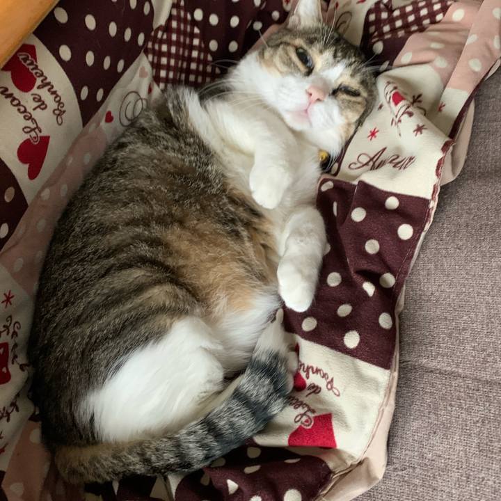 0a967ac6 52a7 4242 a117 5328b5dfcdac 1636325127784