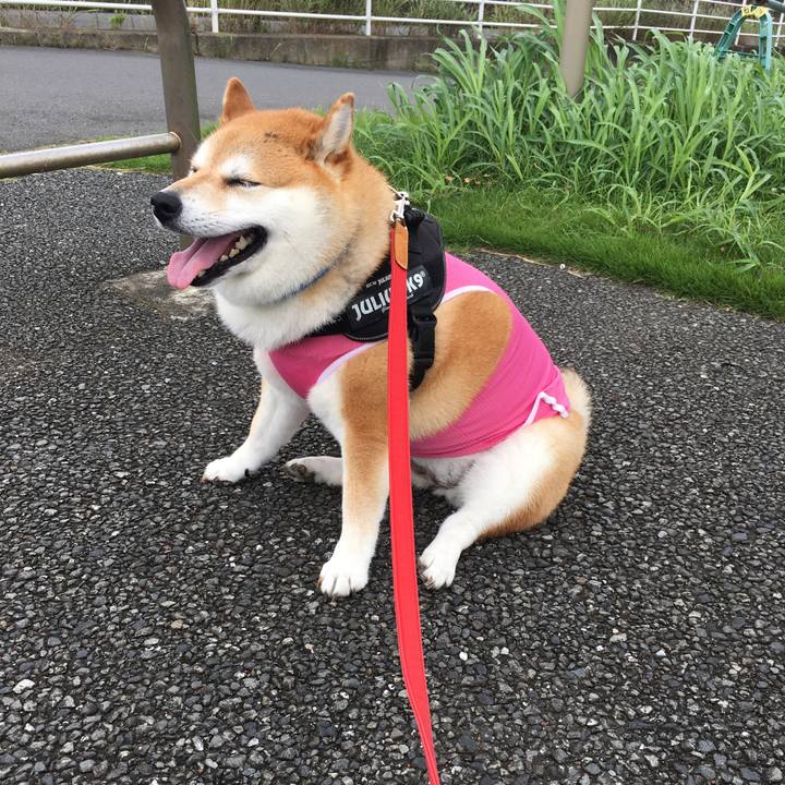 0a9690ad e30f 4e71 913f 84373dbcf7f4 1595821831888