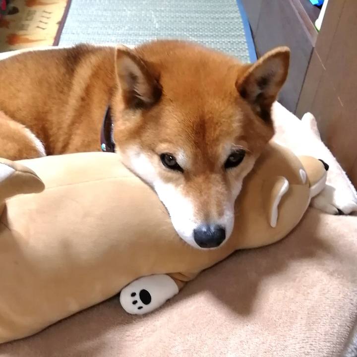 0a969c42 5d48 4f99 8b14 511cbbc8aa18 1585815050850