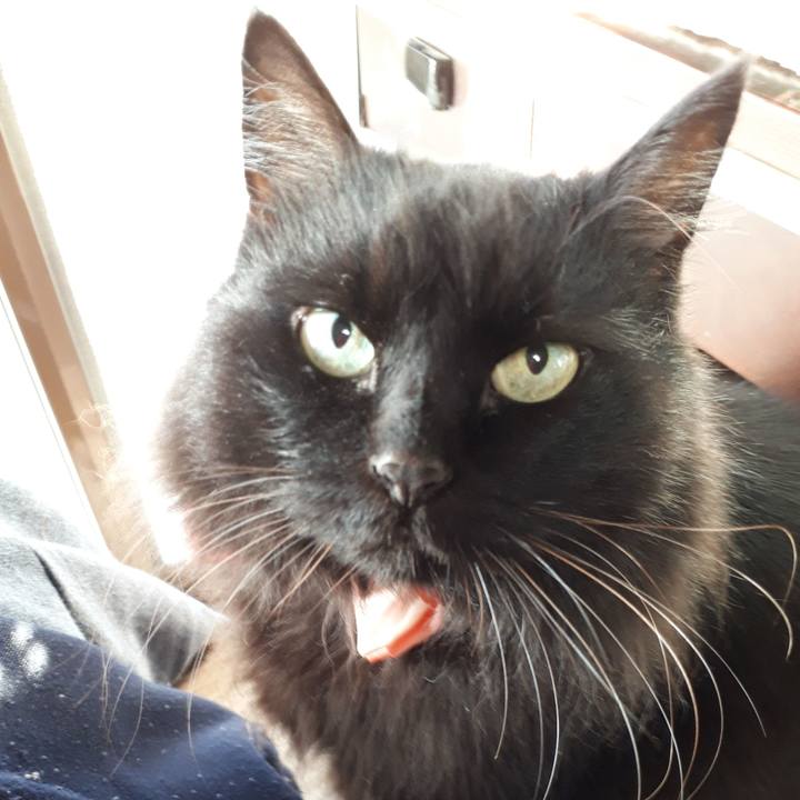 0a96b16f 9d56 4587 9aae 968801adefd2 1520635929836