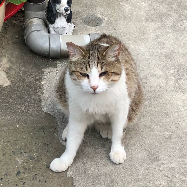 0a96c626 9cd0 4145 b5fe ba0beaf6c059 1528384236367