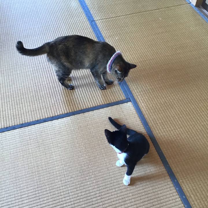 0a96e2c0 6bd1 491d 8945 672a36b0679e 1626924297685