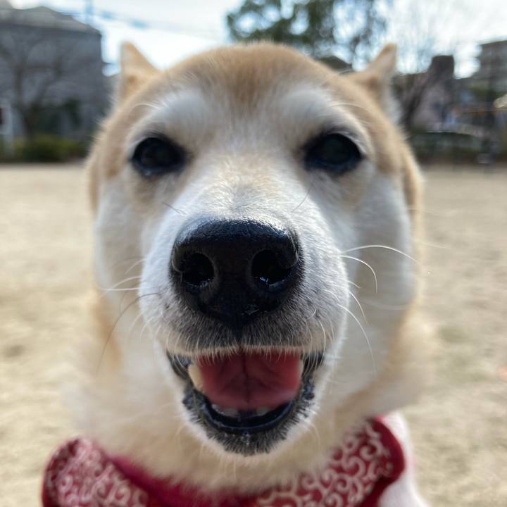 0a96e440 5b87 4acf babf cc59df45474b 1640353184350