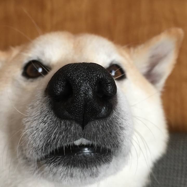 0a96e852 8390 4fd8 a129 3302f6d6be25 1524401541099