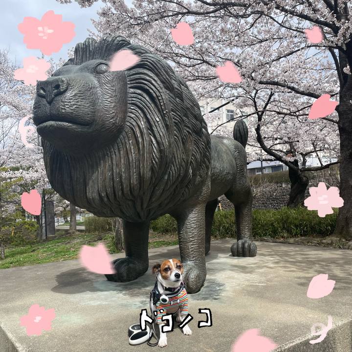 0a96eaf9 c871 4bbf 97ca e2593fb6278b 1744807106755