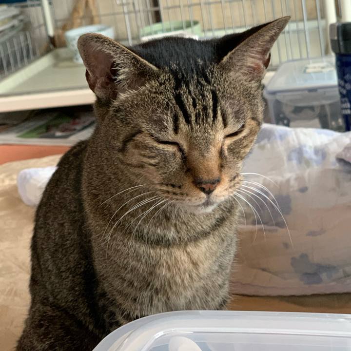 0a9714fd c96c 4938 9ac6 1e179eb320ab 1573954634544