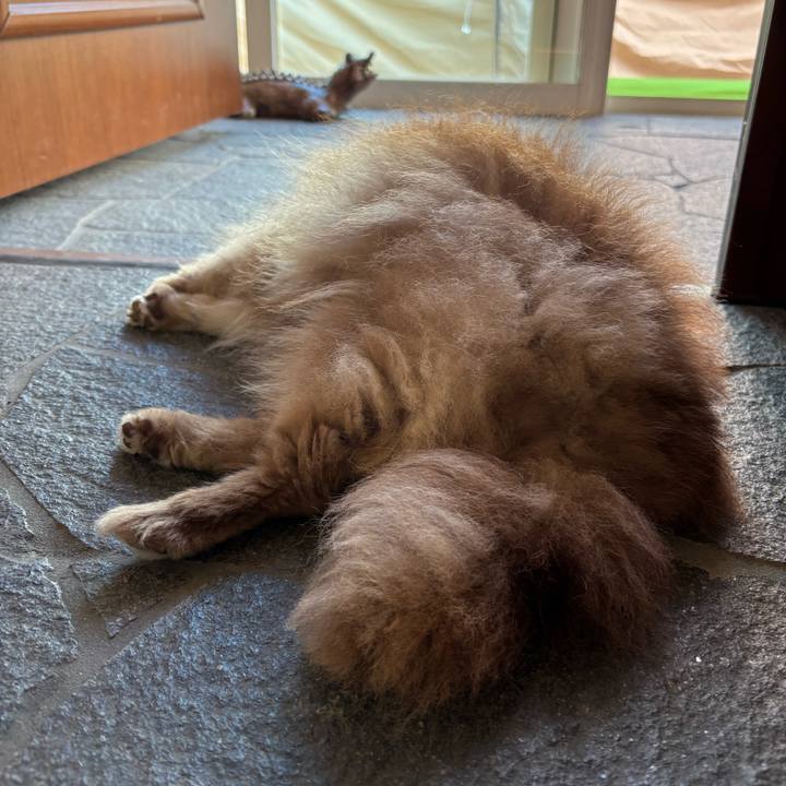 0a9717dd 25d7 437c b9d3 469cbc867e0d 1754868367106