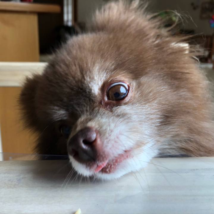 0a971a21 741a 47d4 8245 ef43f9f6ea6f 1563247147881