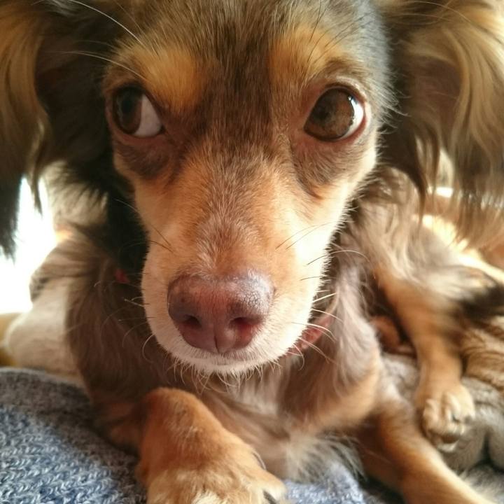 0a9771c8 e925 4920 b4b6 0ab3c3a26f94 1512273737250