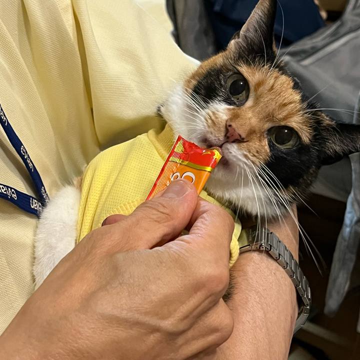 0a97799e 92af 478c 9fa4 175d448bcda5 1727673244029