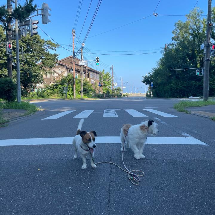 0a978986 564a 48fb acdc 9928e6106e4d 1659133448997