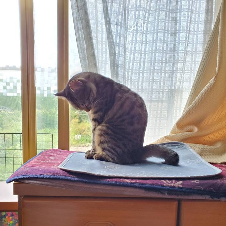 0a979bd0 843e 4b60 81cd 6bd8e27aa1e3 1694264087446