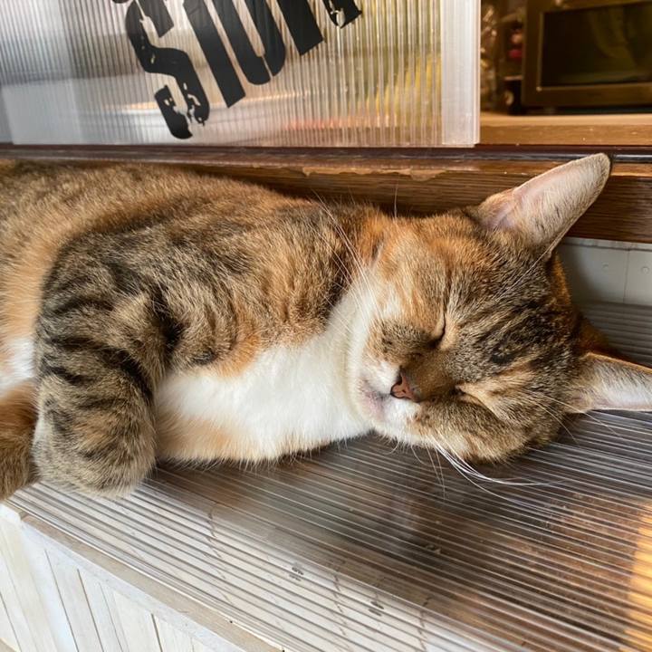 0a97fb2c d094 4711 9b08 88e982e3f18f 1632948137820