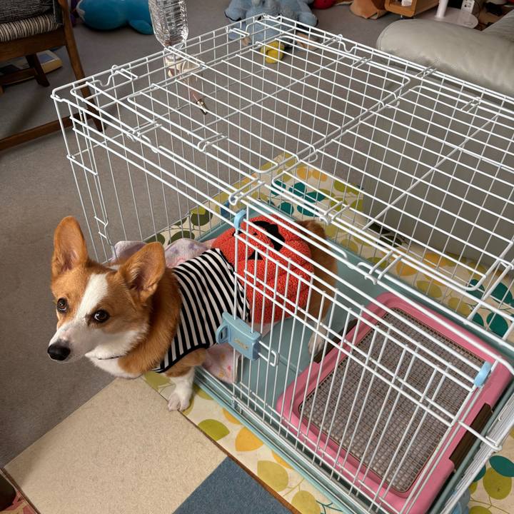 0a9808e3 57e3 4e2f bcb5 bb8e93497d0e 1761610091420