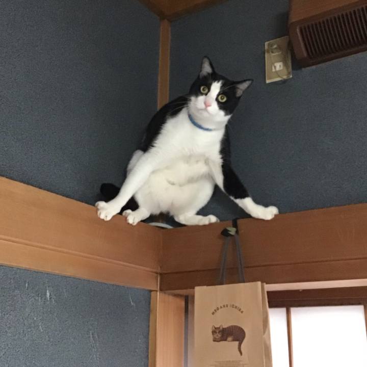 0a9818d6 8d8a 454f b8a0 a4dc281d1d15 1696842462963