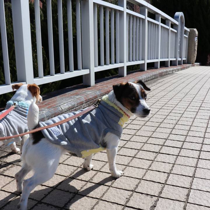 0a987e7c 8db6 40f1 9fff 2e1b4d0f6f84 1517977539132