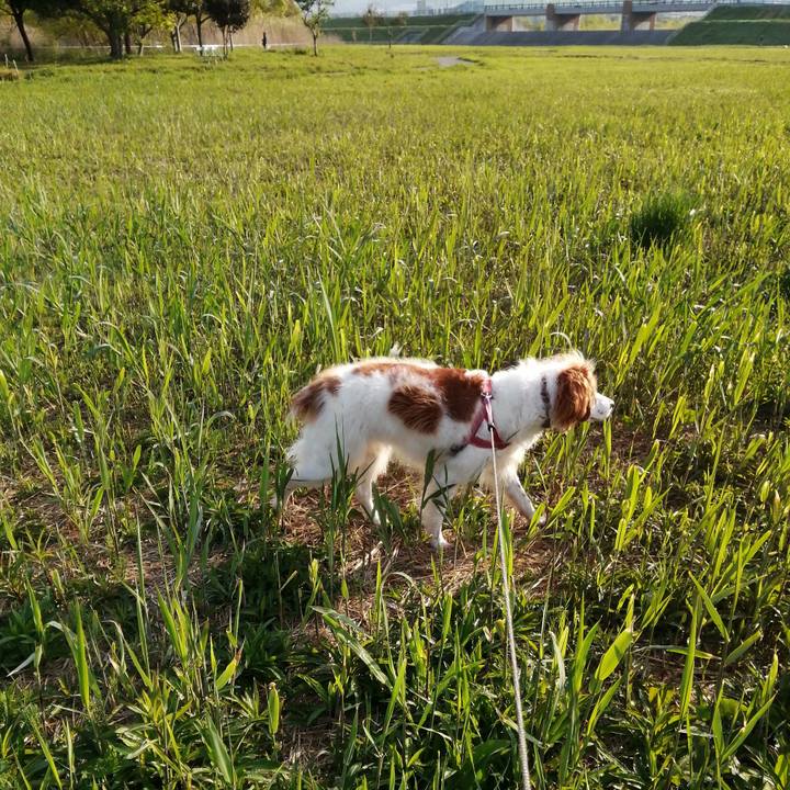 0a98a6e8 cfa6 4ecf b01d 92467412849d 1617851972998