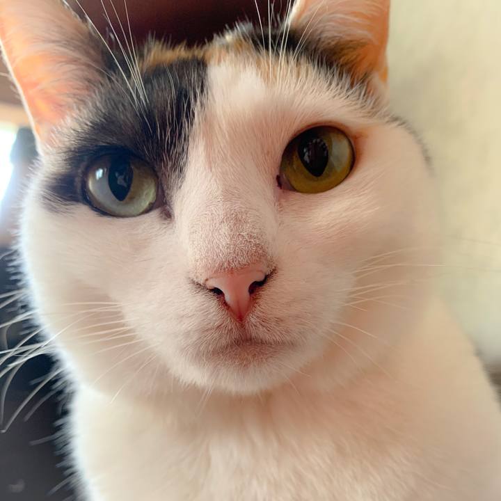 0a98f51c 96a1 482a 9eb1 cbdf26aafe40 1560218407022