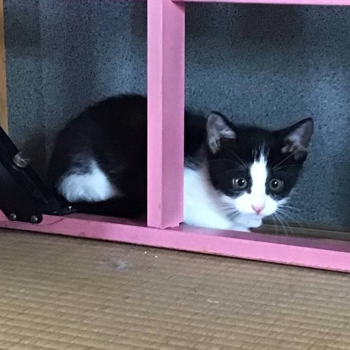 0a98f919 b7a7 49d9 9d7e a06f7ade93fb 1624507260071