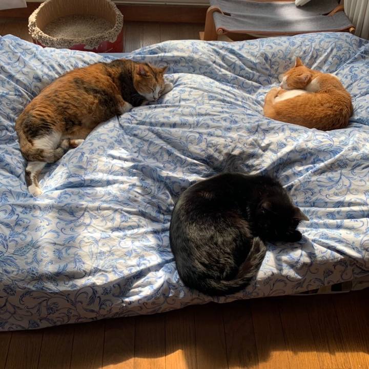 0a9949db b3d2 44cf 83c8 b47012213231 1604890251422