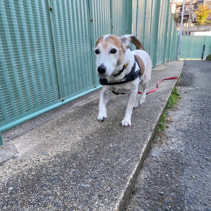 0a996c0f cc68 4348 b6c8 a833cbdd32ab 1604098042704