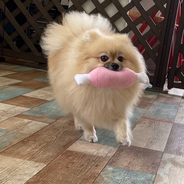 0a998473 f353 4c94 9f81 ef3fe75d769c 1652673244194