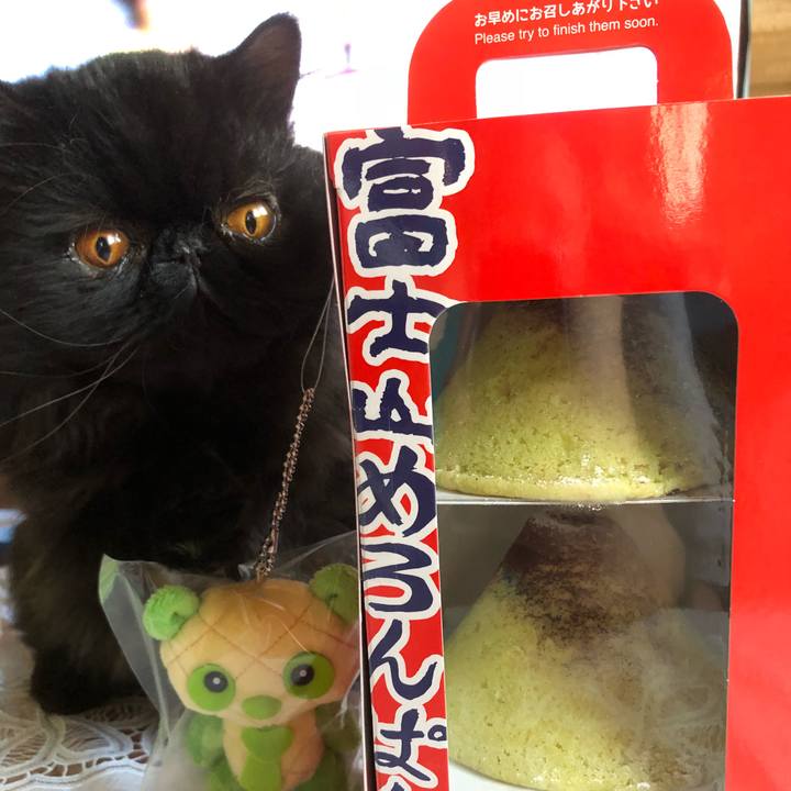 0a99ea90 0a08 4fa4 860b 4083029383f7 1535253675034