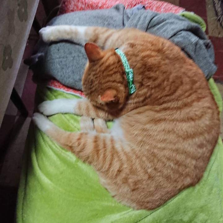 0a99ff60 923e 4f7f a714 e4ba69db3e18 1579927201141