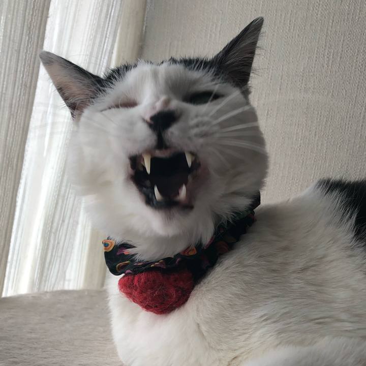 0a9a22a3 dfd4 404d 946d 4bcd02588ec8 1553573236479