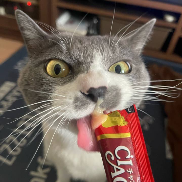 0a9a720d 6cb0 4a17 9a99 820f8b98345a 1704953999965