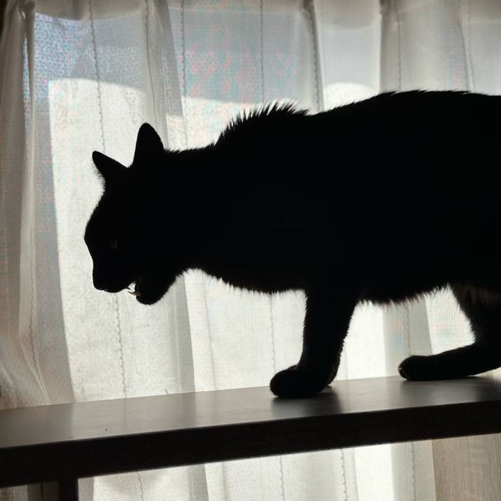 0a9aa116 bd1d 4ee6 9ebc ca8a1c49f409 1707789951366