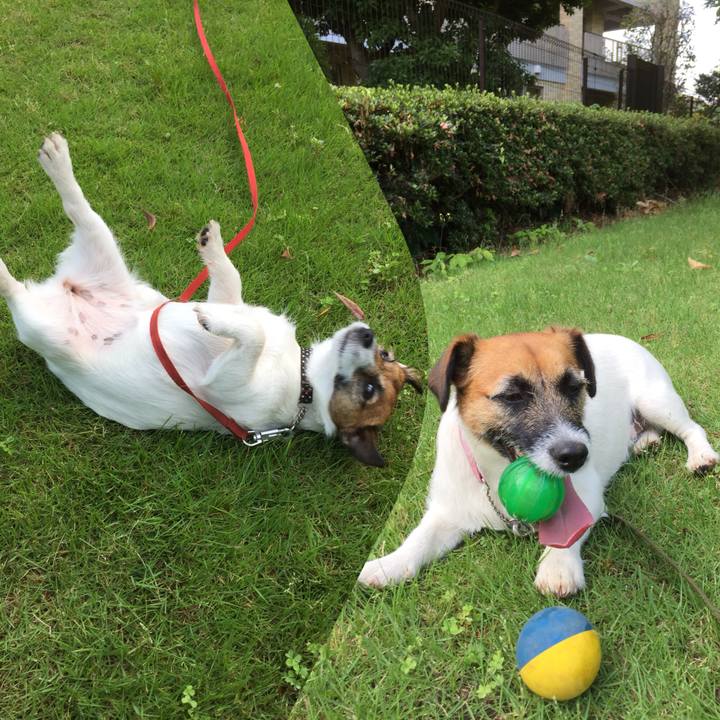 0a9abfc4 adeb 4777 b670 7638c887cf06 1528775929785