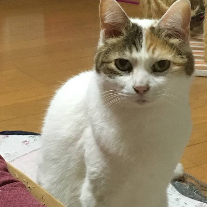 0a9aee12 b47a 4027 80f9 7a5f8b08696e 1520596099884