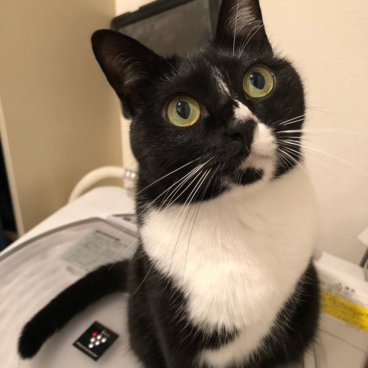 0a9afd42 85e9 4b50 b4f3 951ad2bbb89d 1520030598280