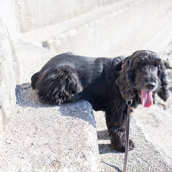 0a9b0440 ccd5 4447 8019 693c25571b82 1547897564726