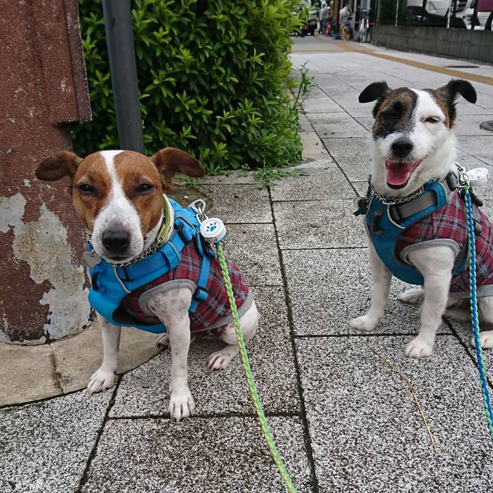 0a9b26e8 408e 48e6 b4e7 f3a7f4679fd0 1592872969875