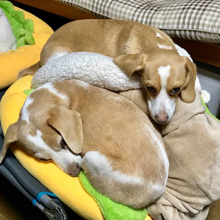 0a9bb04c 064c 4038 8034 fc3d1afbb6db 1520850048255