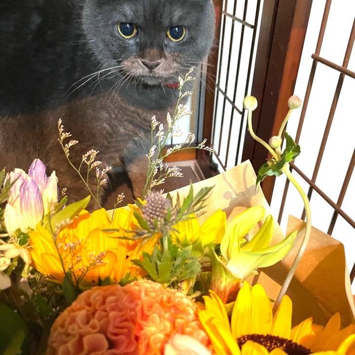 0a9bed4d 6198 453e 9d6f eb1beacf1246 1757547924025