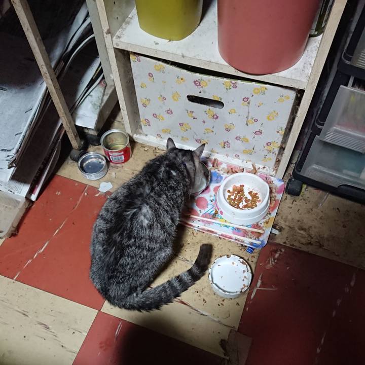 0a9bf189 b362 43d5 bf89 1f1ecdffca04 1581537553938