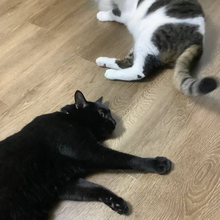 0a9c09e1 6dde 465d 88dc a4b86dd96860 1596637530408