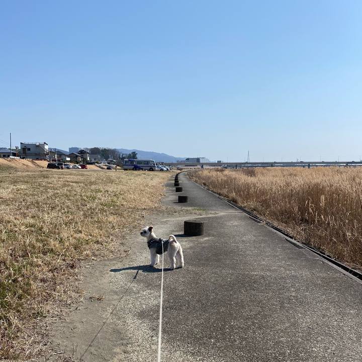 0a9c0d00 9a2c 414b 9b7a 51e207b9f2ad 1613906921469