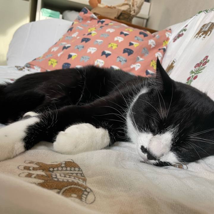 0a9c3016 3ba3 432c 8775 d8095abad305 1654394428034