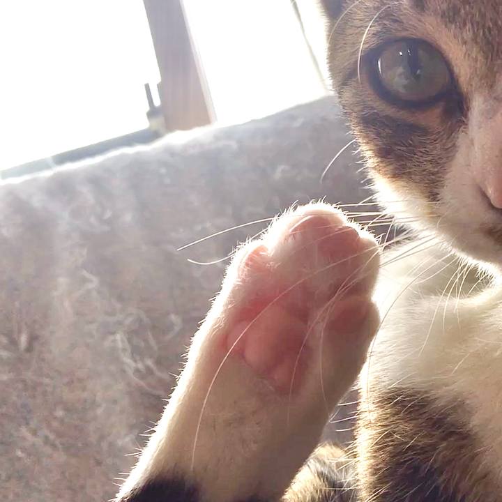 0a9c3b9b 27a6 480b 9f90 684959705aa4 1668049098675