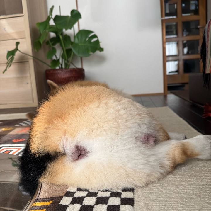 0a9c76d3 3e50 4018 80b7 09064000f261 1767448252196