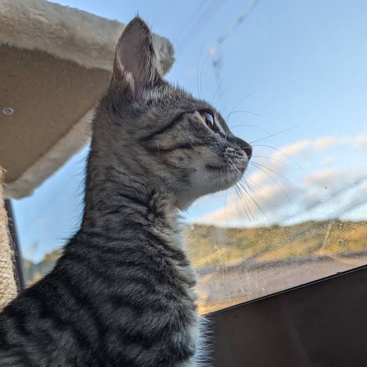 0a9c89f9 4093 4416 a581 03ad08e2e6ce 1702441153260