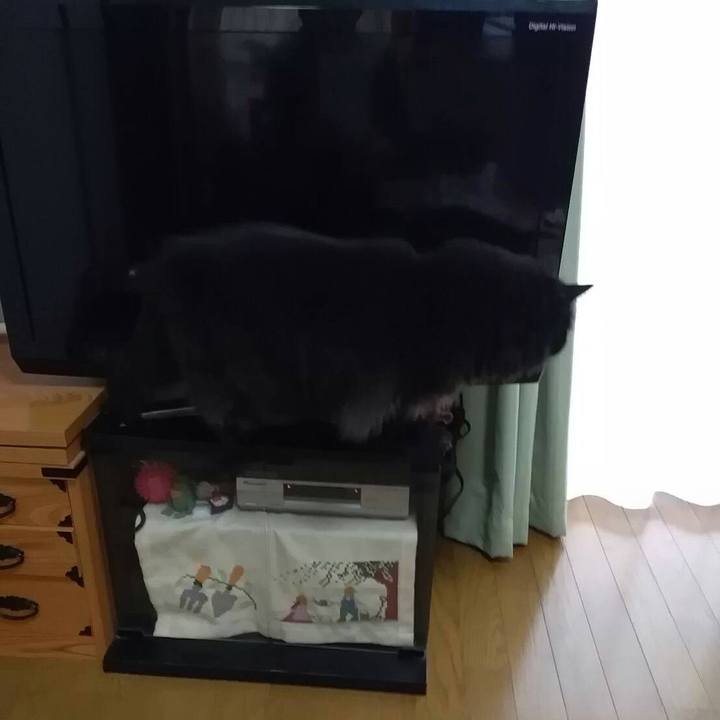 0a9c9955 e22e 40a8 a30d 78c05aa38d37 1523842390433