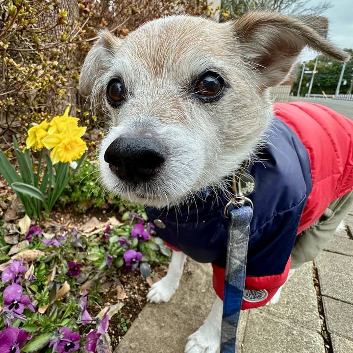 0a9cbbdc 2c92 42b1 a4ce 362bef7d3465 1738564208833