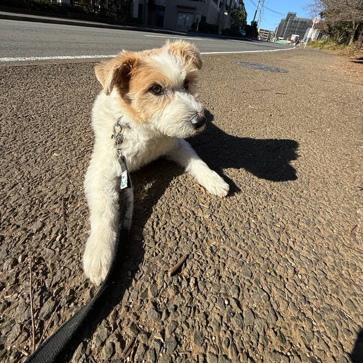 0a9ccb8c 5a83 44de a77e 5fdb64486adc 1765507125311